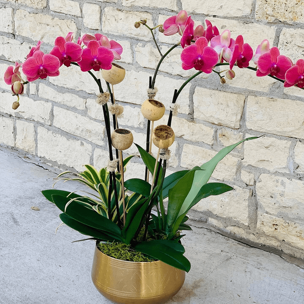 services-arrangement services-arrangement